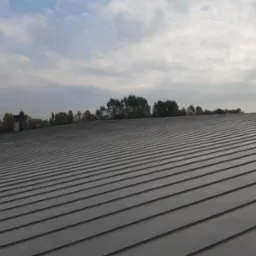 Zabezpieczenie antykorozyjne dachu hali