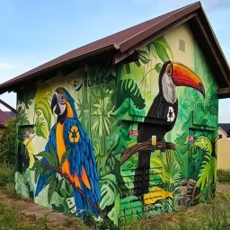 Malarstwo artystyczne Zielona Góra 2