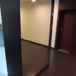 Euro Cleaning Olha Ivanenko - Czysty korytarz w bloku z brązową podłogą i drzwiami. Widoczny fragment rośliny w donicy.