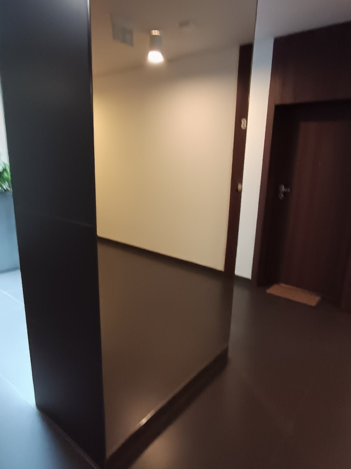 Czysty korytarz w bloku z brązową podłogą i drzwiami. Widoczny fragment rośliny w donicy.