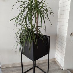 Usługi spawalnicze Jakub Śledź - Minimalistyczna, czarna, metalowa donica na wysokim stojaku w kształcie sześcianu, z zieloną rośliną w środku, na tle białej ściany z cegieł.