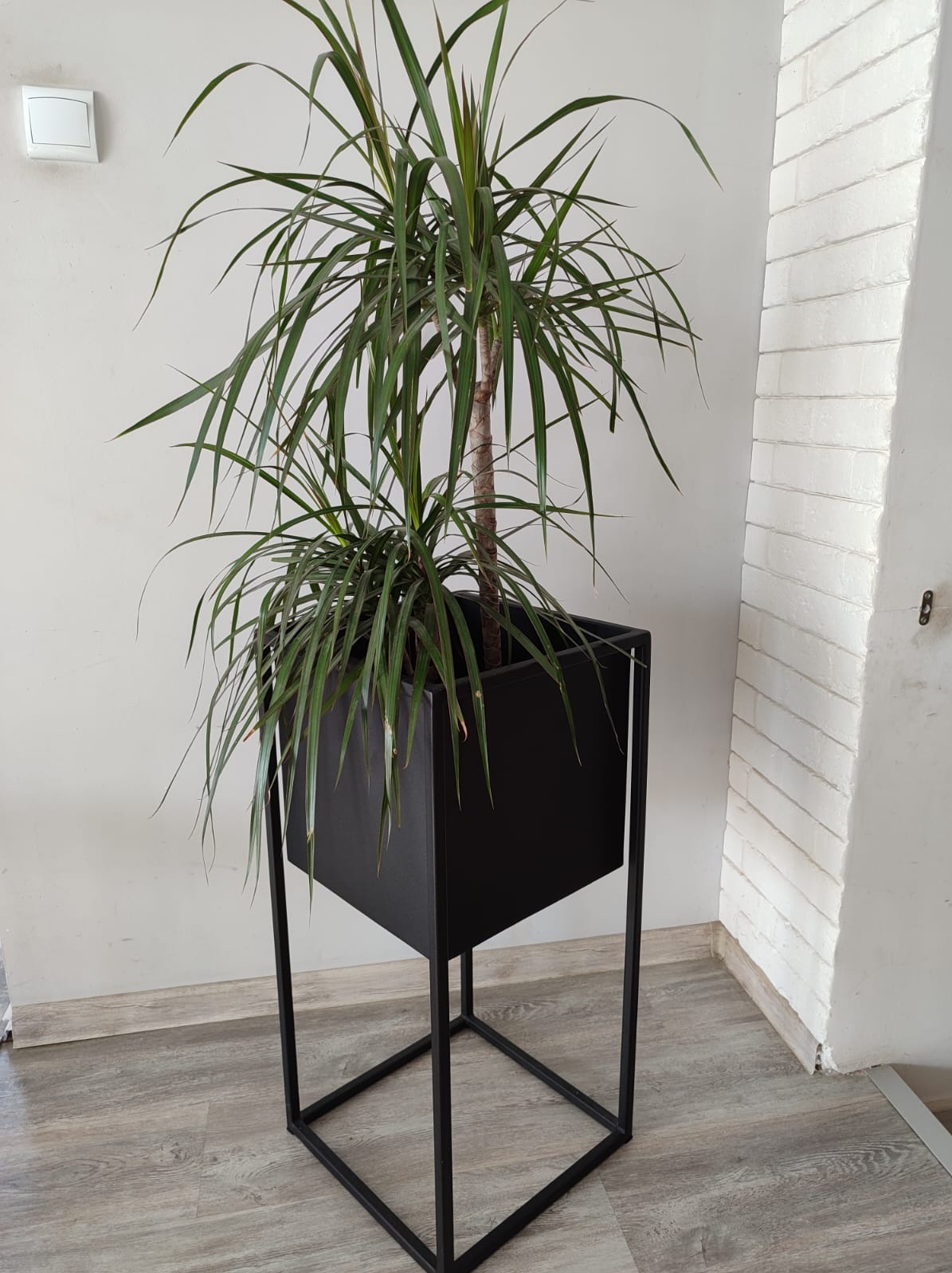Minimalistyczna, czarna, metalowa donica na wysokim stojaku w kształcie sześcianu, z zieloną rośliną w środku, na tle białej ściany z cegieł.