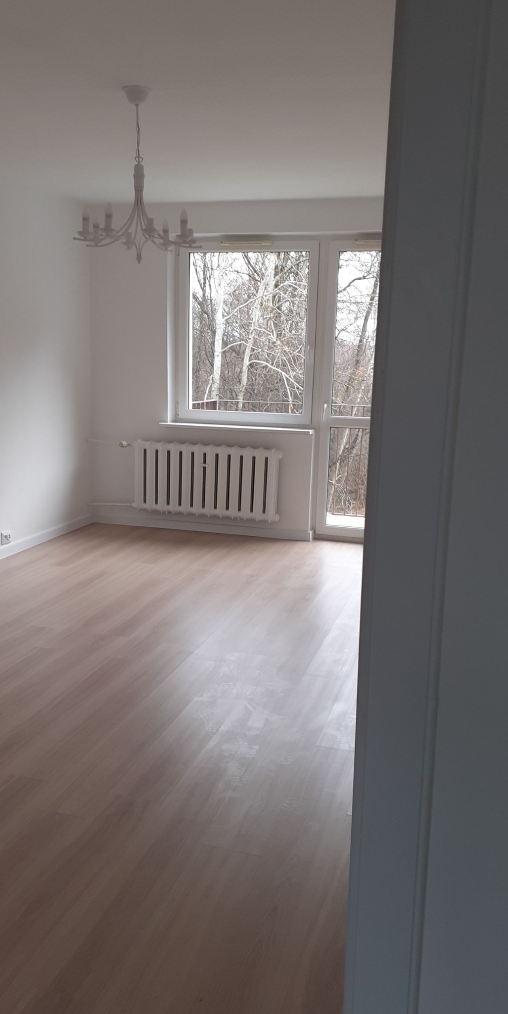 Jasne panele podłogowe w pustym pokoju z białymi ścianami, grzejnikiem i oknem z widokiem na drzewa bez liści, częściowo zasłonięte przez białą ramę drzwi.