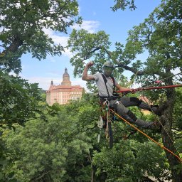 ArboDrwal Marek Szewczyk - Wycinanie Drzew Świdnica