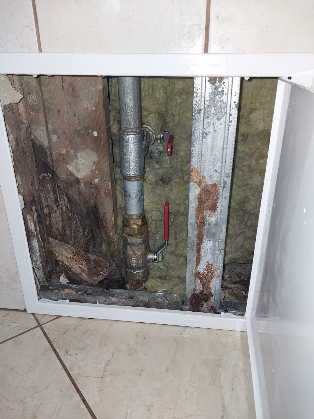 Wykonanie instalacji przeciw pożarowej w schronisku Św. Brata Alberta