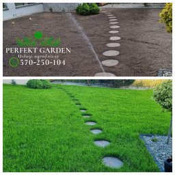 Perfekt Garden Usługi Ogrodnicze - Dwa ujęcia ogrodu: górne przedstawia świeżo założony trawnik z kamienną ścieżką w trakcie nawadniania, dolne ukazuje ten sam ogród po wzroście trawy, z bujną zielenią i wyraźną ścieżką.