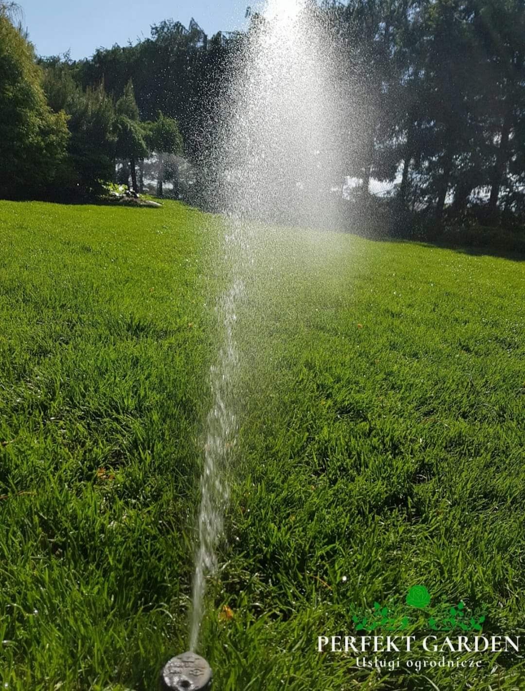 Automatyczny system nawadniania trawnika w słoneczny dzień, z widocznym spryskiwaczem i logo firmy ogrodniczej w prawym dolnym rogu.