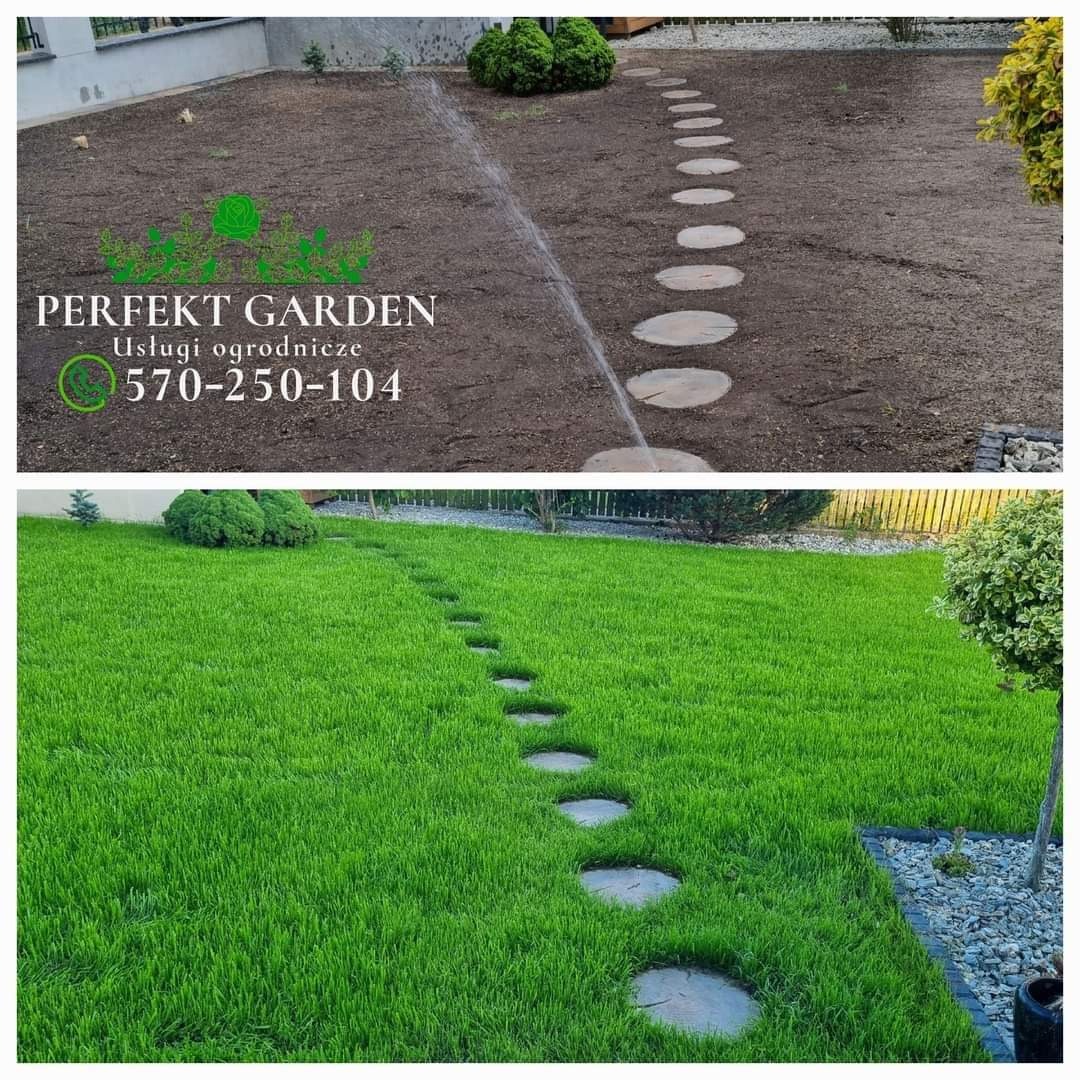 Dwa ujęcia ogrodu: górne przedstawia świeżo założony trawnik z kamienną ścieżką w trakcie nawadniania, dolne ukazuje ten sam ogród po wzroście trawy, z bujną zielenią i wyraźną ścieżką.