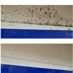 Mycie elewacji w salonie VIP CAR Renault