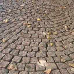 SolidCraft - Ułożona z szarej kostki granitowej nawierzchnia w kształcie łuku, z kilkoma opadłymi, uschniętymi liśćmi.