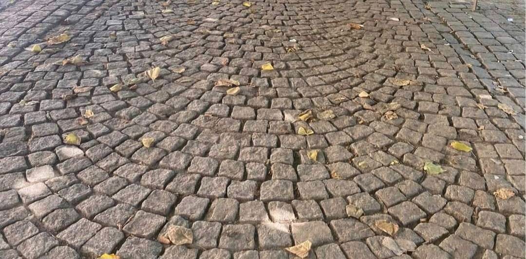 Ułożona z szarej kostki granitowej nawierzchnia w kształcie łuku, z kilkoma opadłymi, uschniętymi liśćmi.