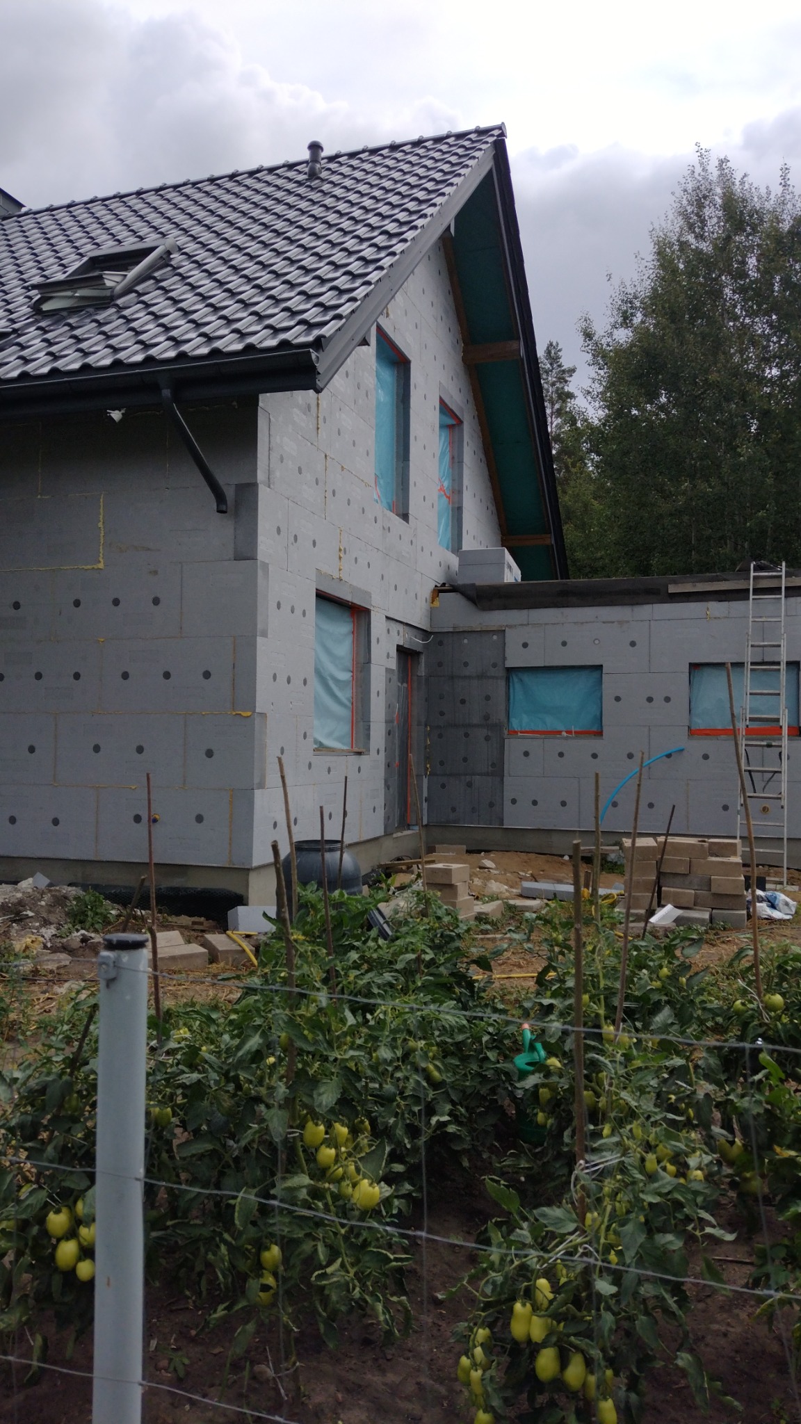 Dom w trakcie docieplania, ściany pokryte szarymi płytami izolacyjnymi z widocznymi otworami, okna zabezpieczone folią, w tle drabina oparta o ścianę, na pierwszym planie ogródek z dojrzewającymi...