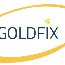 GoldFix Łukasz Kleinert