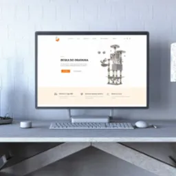 Monitor wyświetlający stronę internetową z ofertą drapaka dla kota, ustawiony na biurku z dekoracjami w stonowanych kolorach.