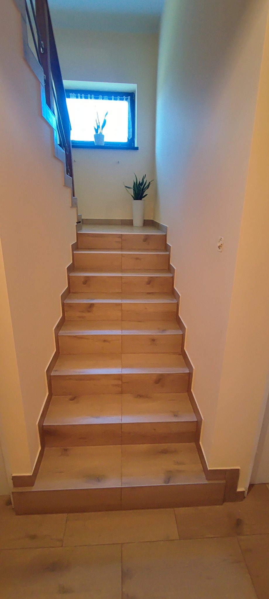 Schody wyłożone panelami imitującymi drewno, prowadzące do góry, z rośliną doniczkową na podeście i oknem w tle.