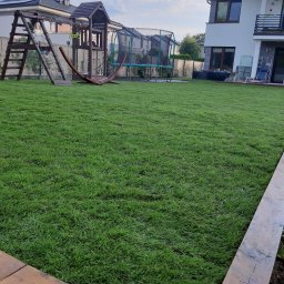 Usługi ogrodnicza Mariusz Kujawiak - Trawa w Rolce Piaseczno