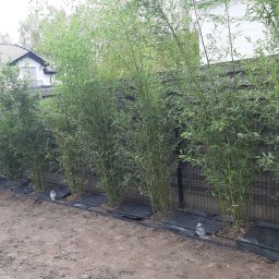 Trawa z rolki Piaseczno 2