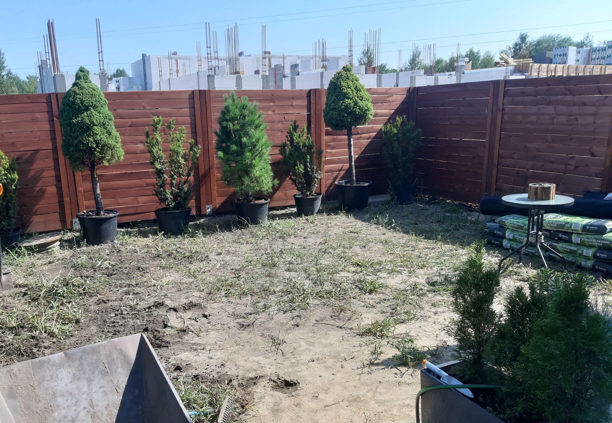 Przygotowanie terenu pod trawnik: widok na ogród z brązowym ogrodzeniem, rządkiem drzewek iglastych w czarnych donicach, workami ziemi i budową w tle.