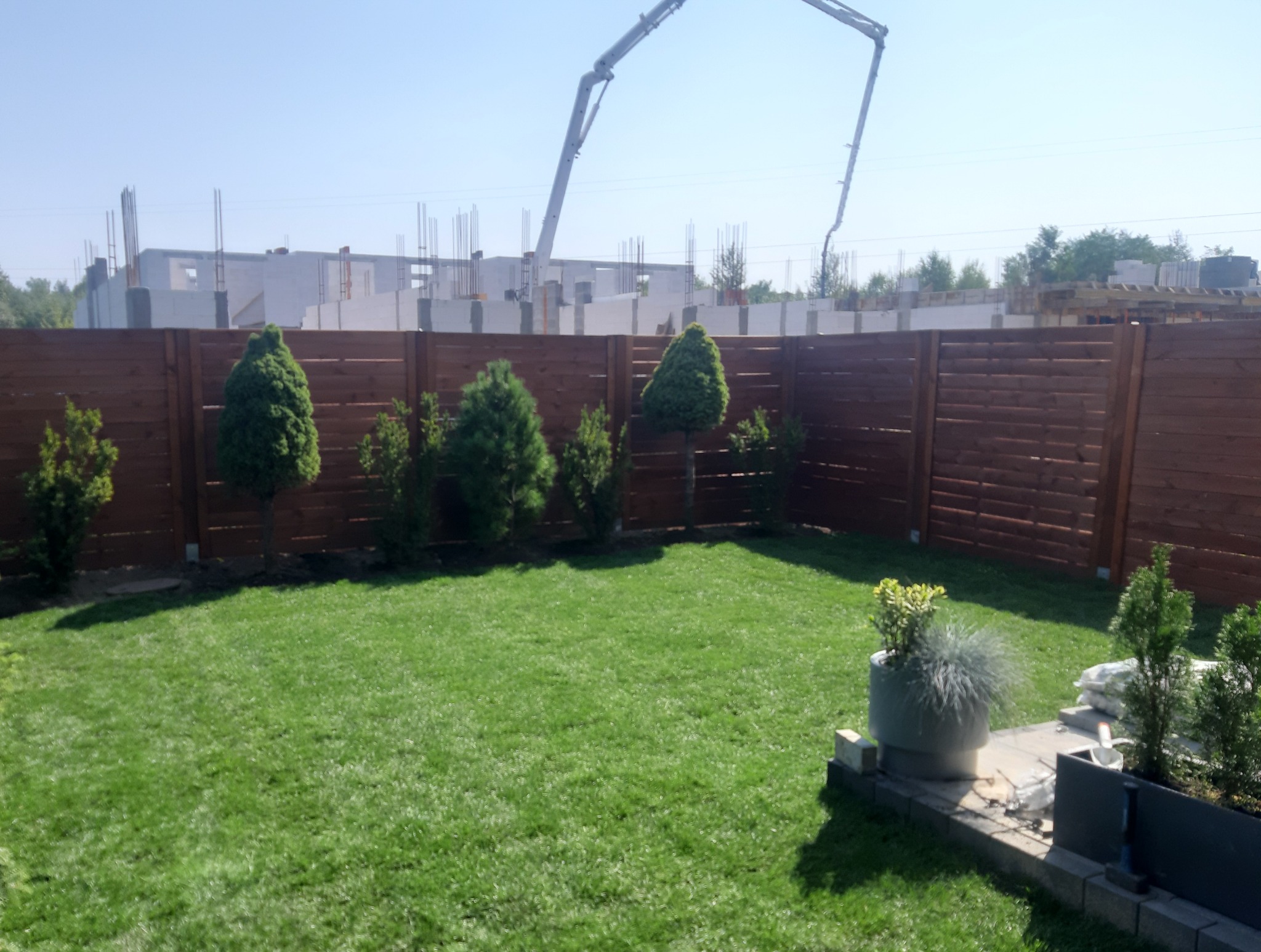 Świeżo założony trawnik z rolki w ogrodzie, widoczne nasadzenia iglaków wzdłuż drewnianego płotu. W tle budowa domu i dźwig do betonu.
