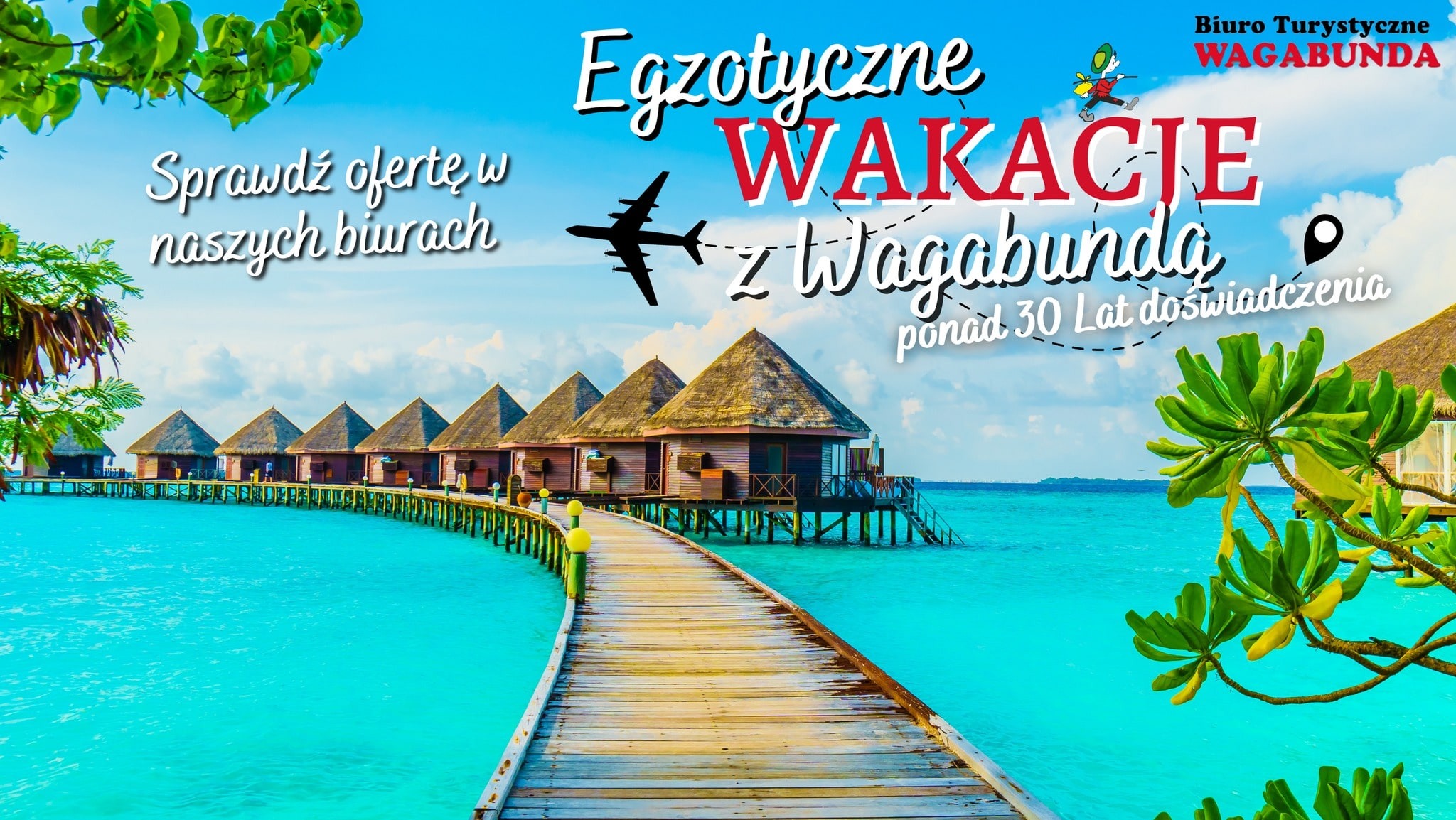 wagabunda Rzeszów egzotyka krok