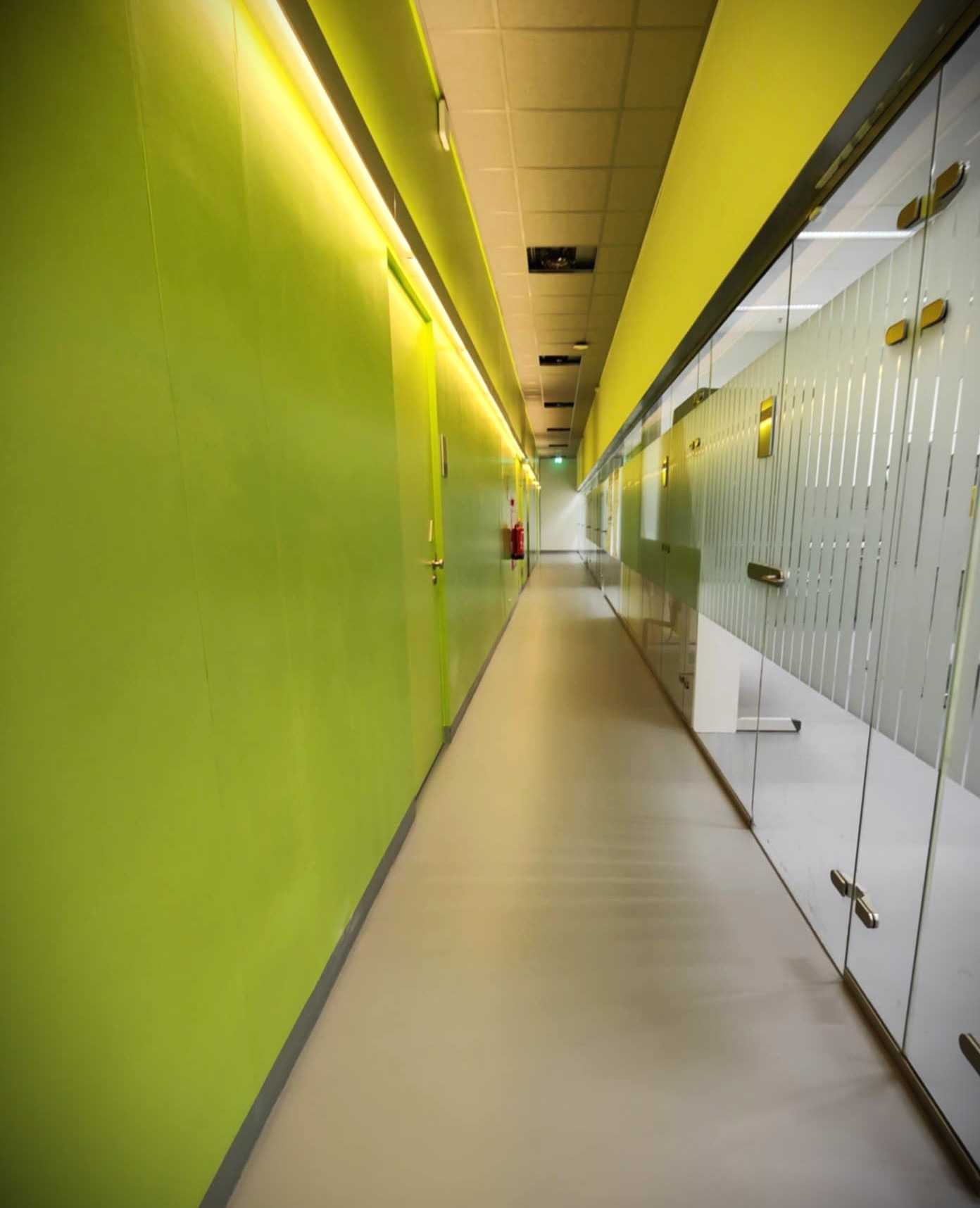 Długi korytarz biurowy z jasnozielonymi ścianami i przeszklonymi biurami po prawej stronie. Jednolita, jasna podłoga. Oświetlenie liniowe LED.