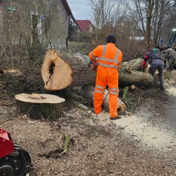 MelGraf Krzysztof Baranowski - Pracownik w pomarańczowym kombinezonie tnie piłą spalinową powalone drzewo, w tle budynek mieszkalny i inni pracownicy