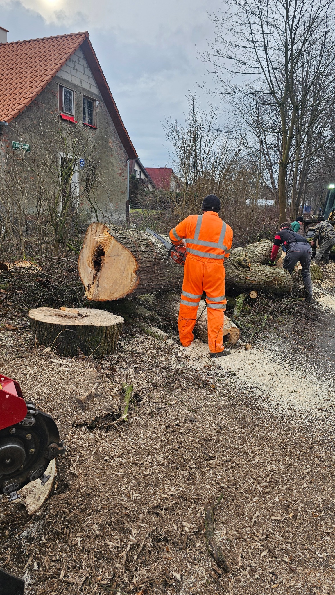 Pracownik w pomarańczowym kombinezonie tnie piłą spalinową powalone drzewo, w tle budynek mieszkalny i inni pracownicy
