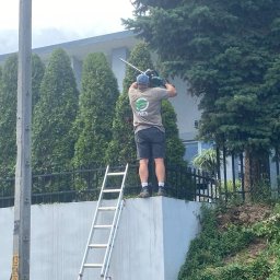 Wycinka drzew Przemyśl 2