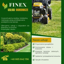 Finex - Profesjonalne Usuwanie Drzew Przemyśl