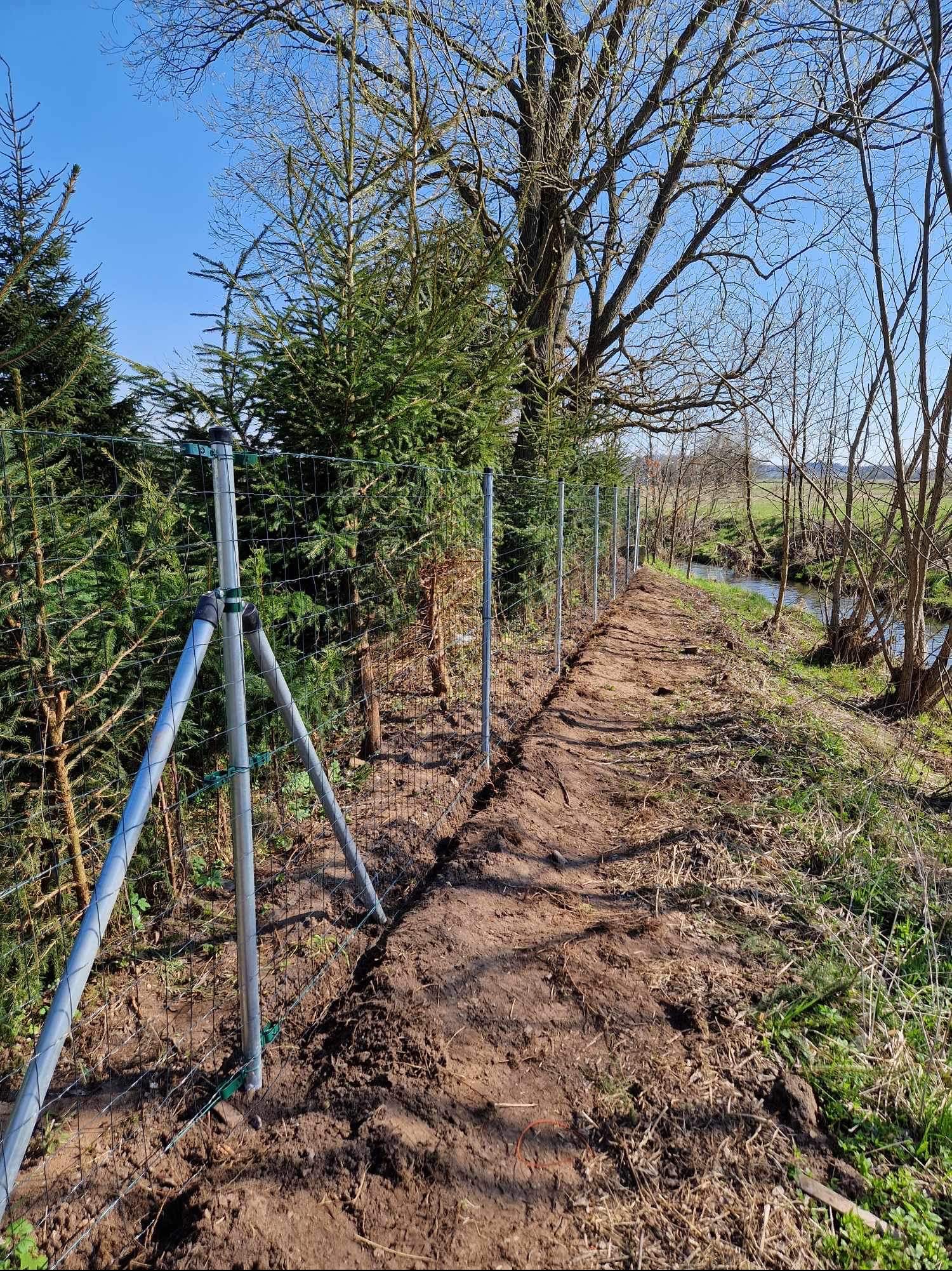 Montaż siatki ogrodzeniowej w Krzeszowie, widok na świeżo zainstalowane ogrodzenie z siatki leśnej, wsparte na metalowych słupkach z podporami, biegnące wzdłuż leśnej ścieżki i małego cieku wodnego.