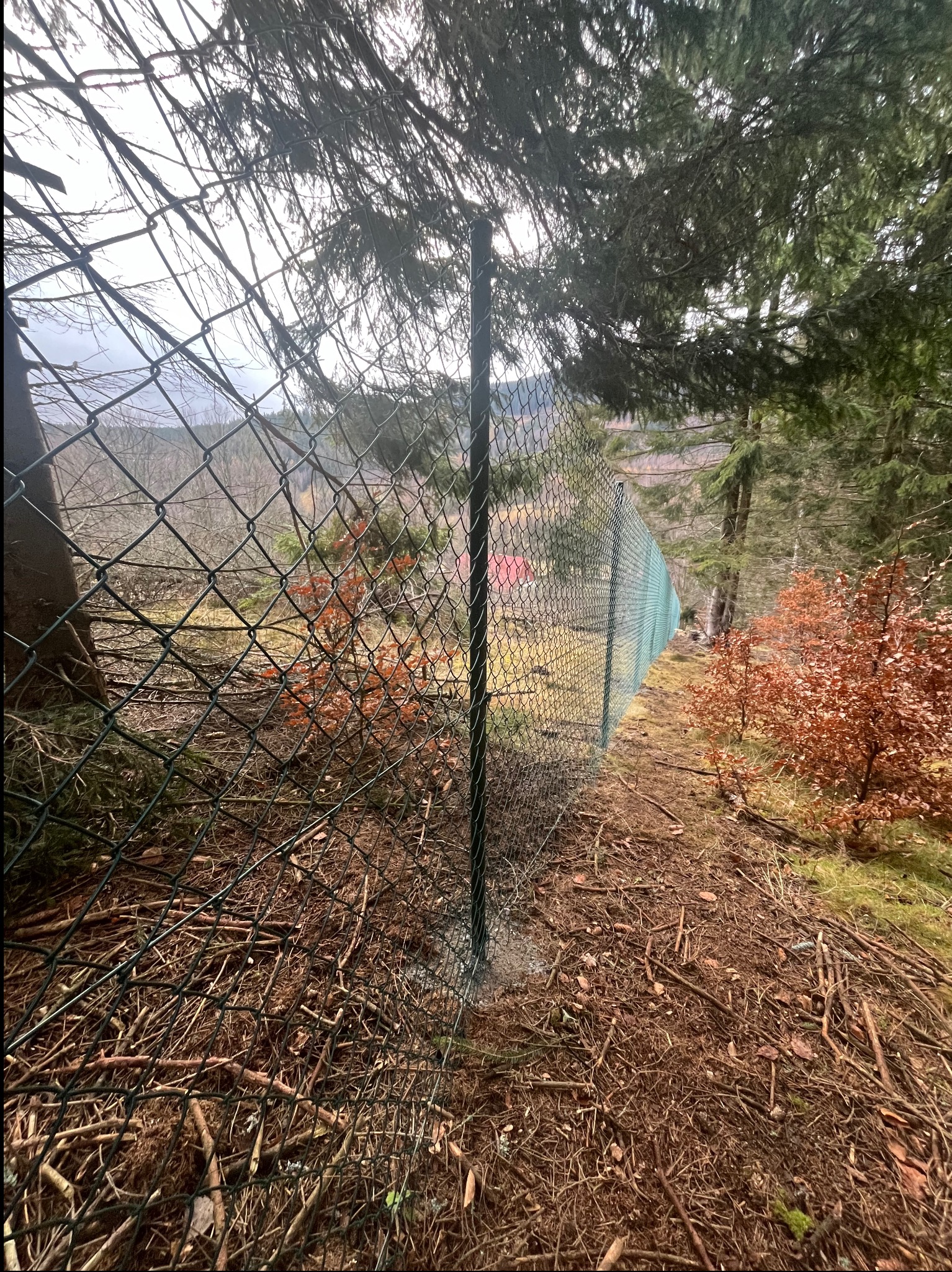 Zielona siatka ogrodzeniowa rozciągnięta wzdłuż zalesionego terenu, widoczny słupek w świeżym betonie, opadłe liście i gałęzie na ziemi.