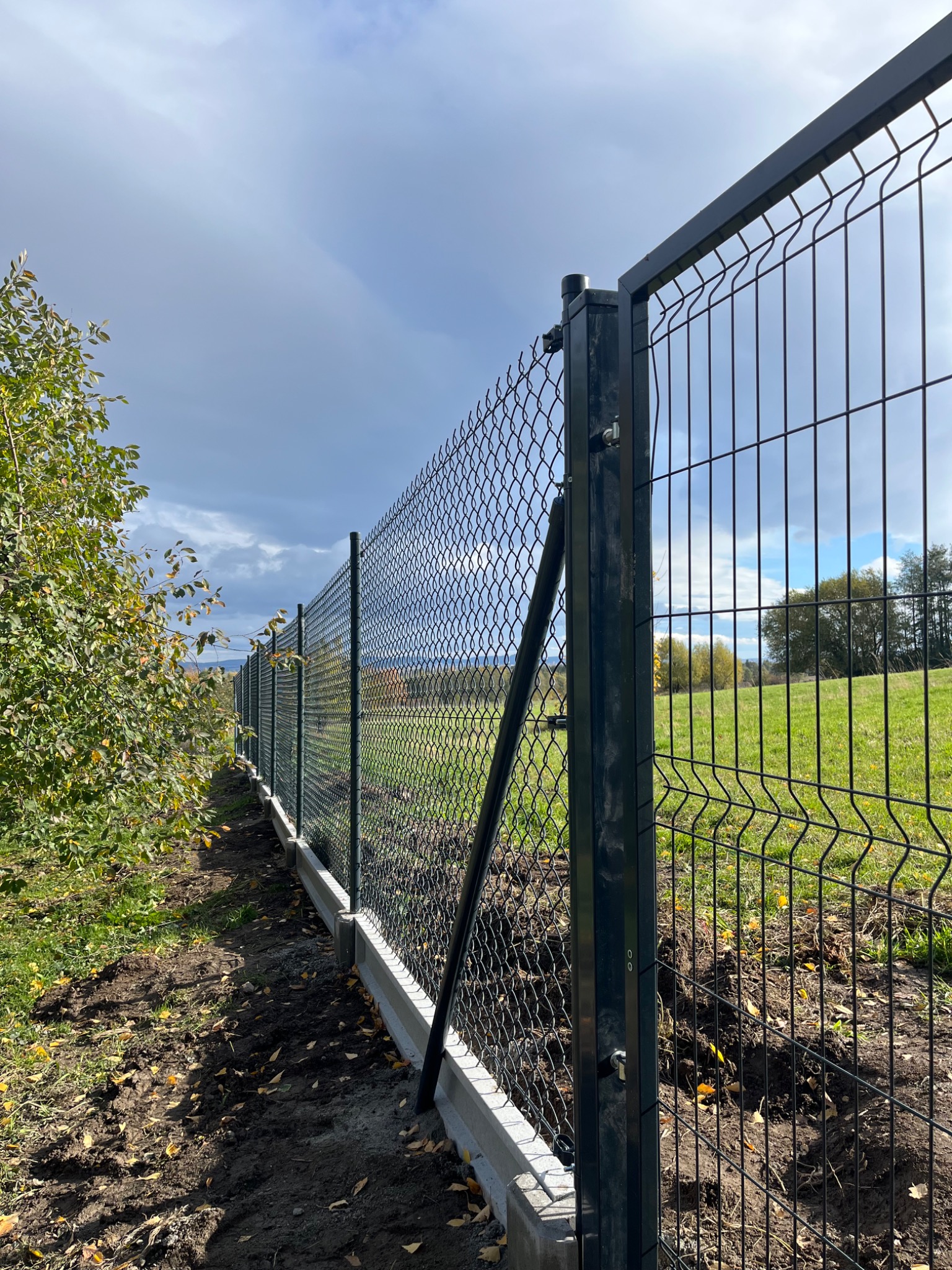 Nowoczesne ogrodzenie panelowe z siatką, wsparte na betonowej podmurówce, otoczone zielenią i jesiennymi liśćmi, widoczne z bliska, z perspektywy ziemi.