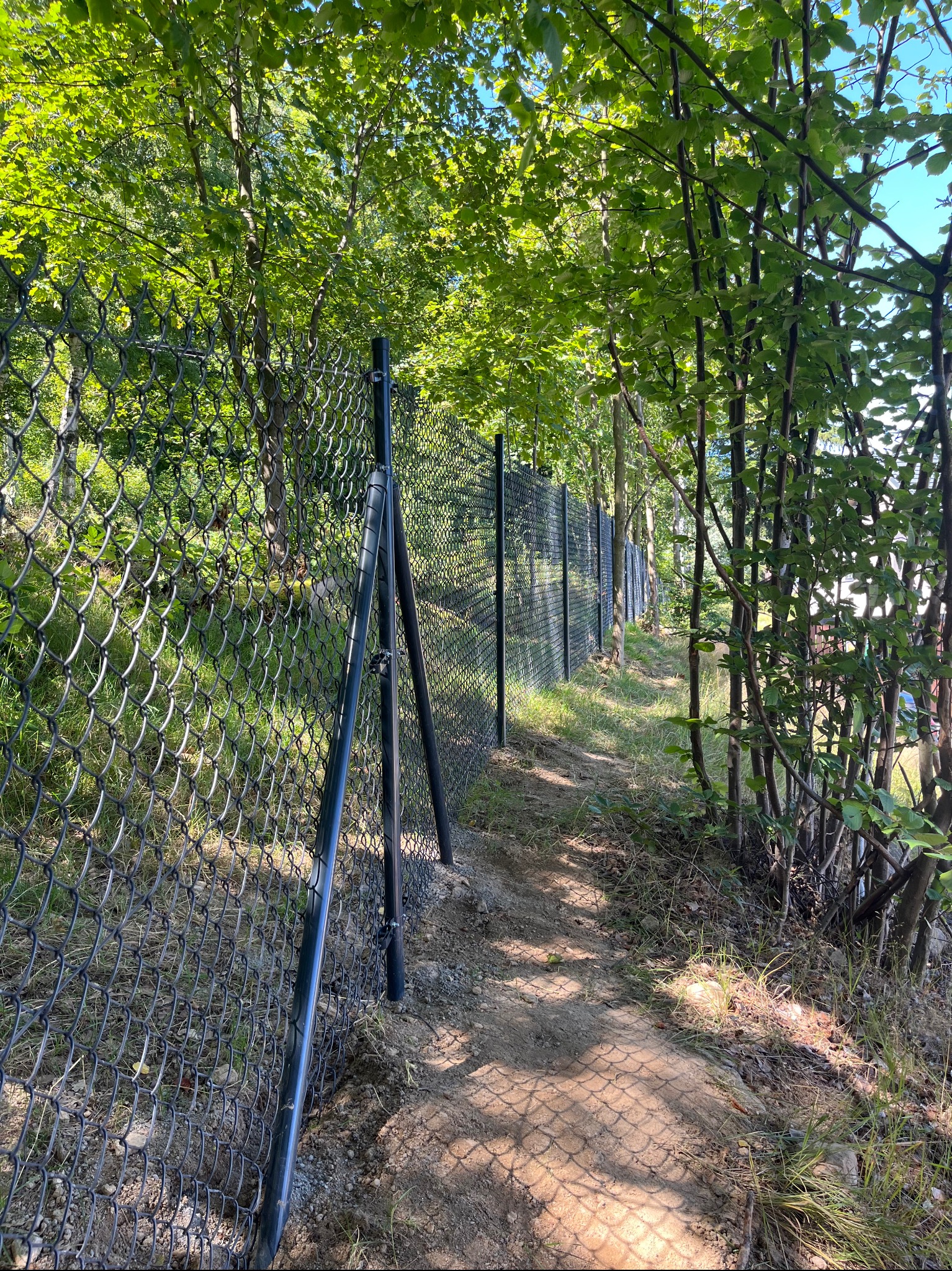 Długa, czarna siatka ogrodzeniowa biegnąca wzdłuż ścieżki w lesie. Widoczne słupki i napinacz siatki. Perspektywa z dołu, drzewa w tle.