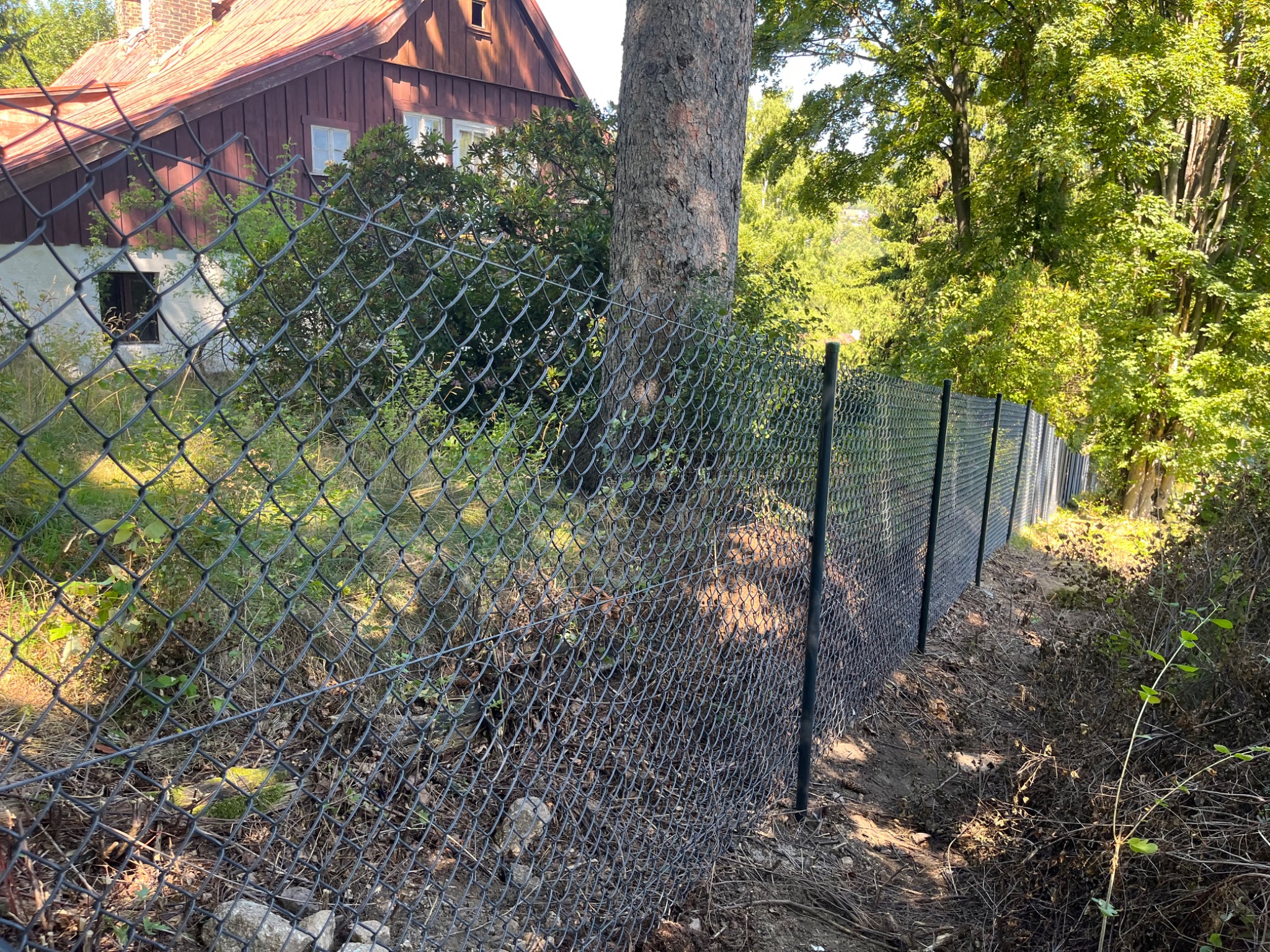Długa siatka ogrodzeniowa z czarnymi słupkami, biegnąca wzdłuż zarośniętego terenu, z domem w tle. Ujęcie z poziomu gruntu, podkreślające perspektywę.