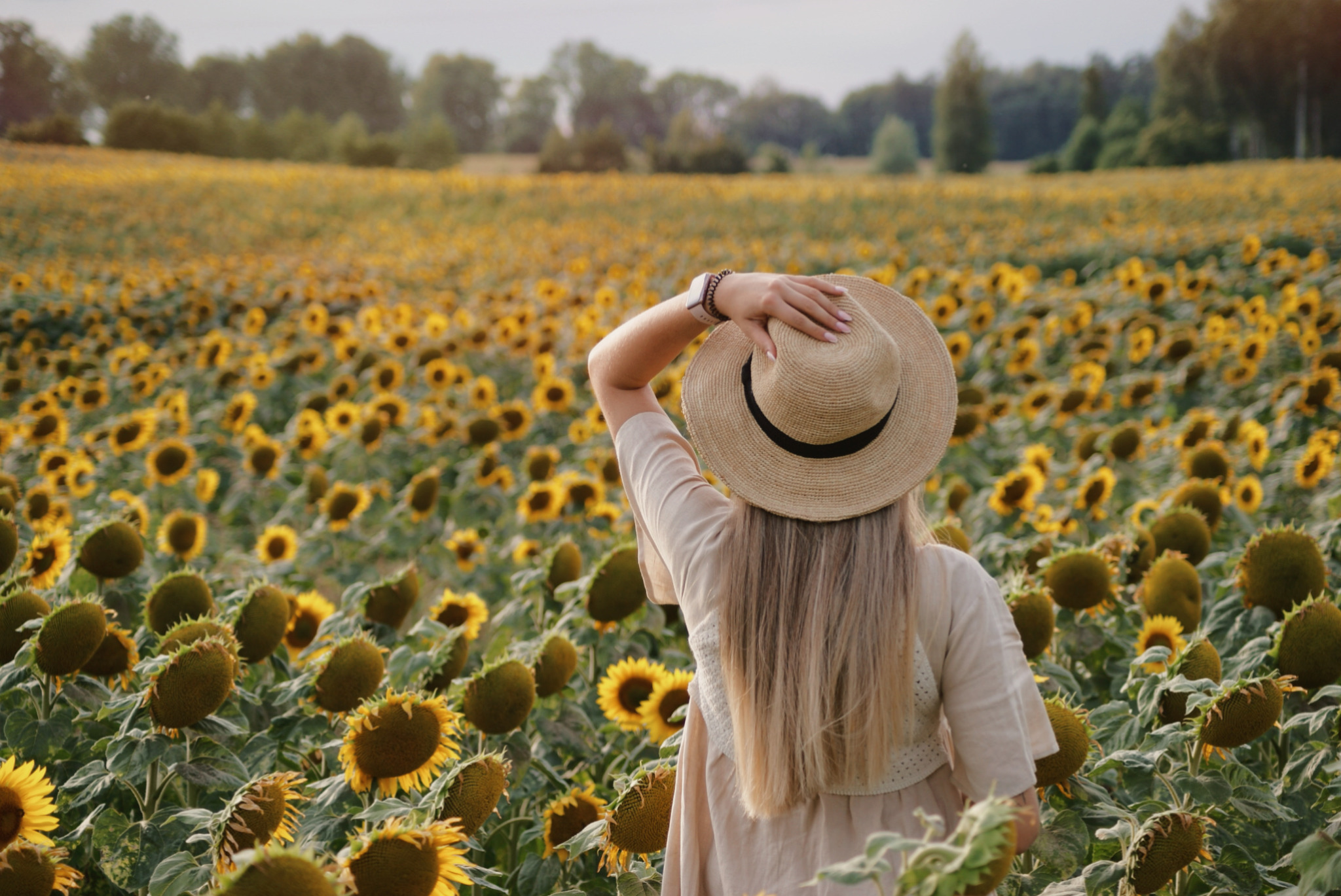 Kobieta w kapeluszu stojąca tyłem na tle pola słoneczników, ręka na rondzie kapelusza, w tle drzewa.