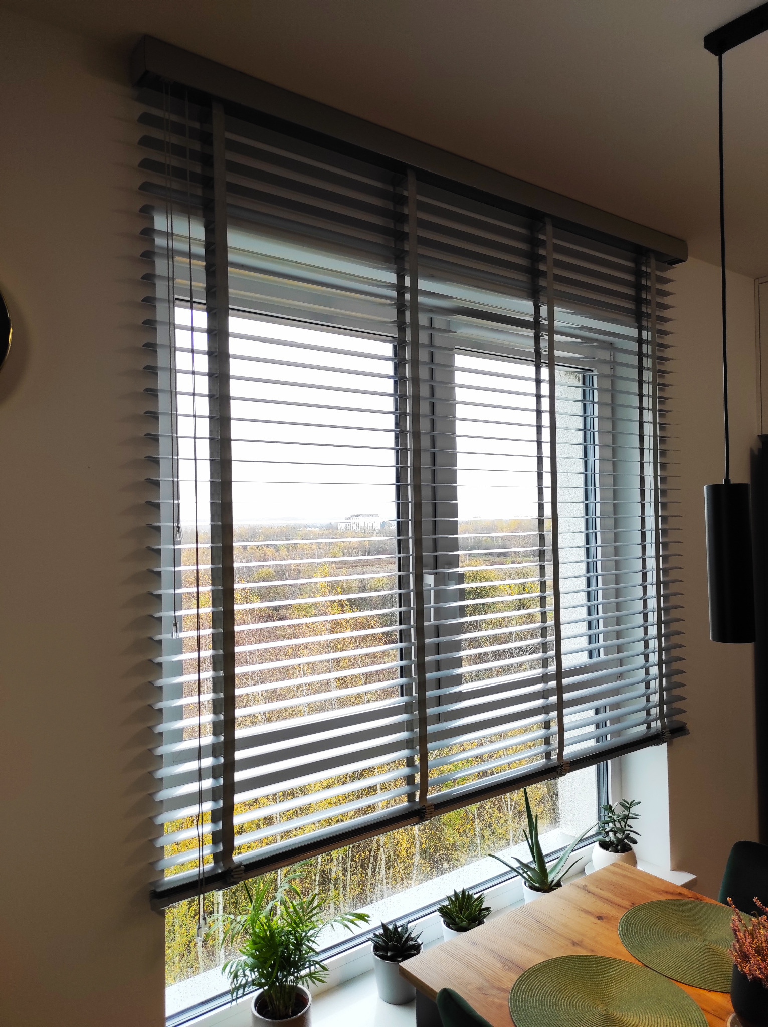 Szare poziome osłony okienne z widokiem na jesienny krajobraz, rośliny doniczkowe na parapecie i drewniany stół z podkładkami.