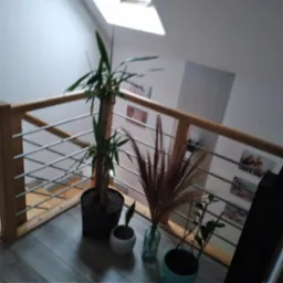 Wnętrze domu z drewnianą balustradą z metalowymi prętami, widok z góry, z doniczkami z roślinami na podłodze i zdjęciami na ścianie w tle.