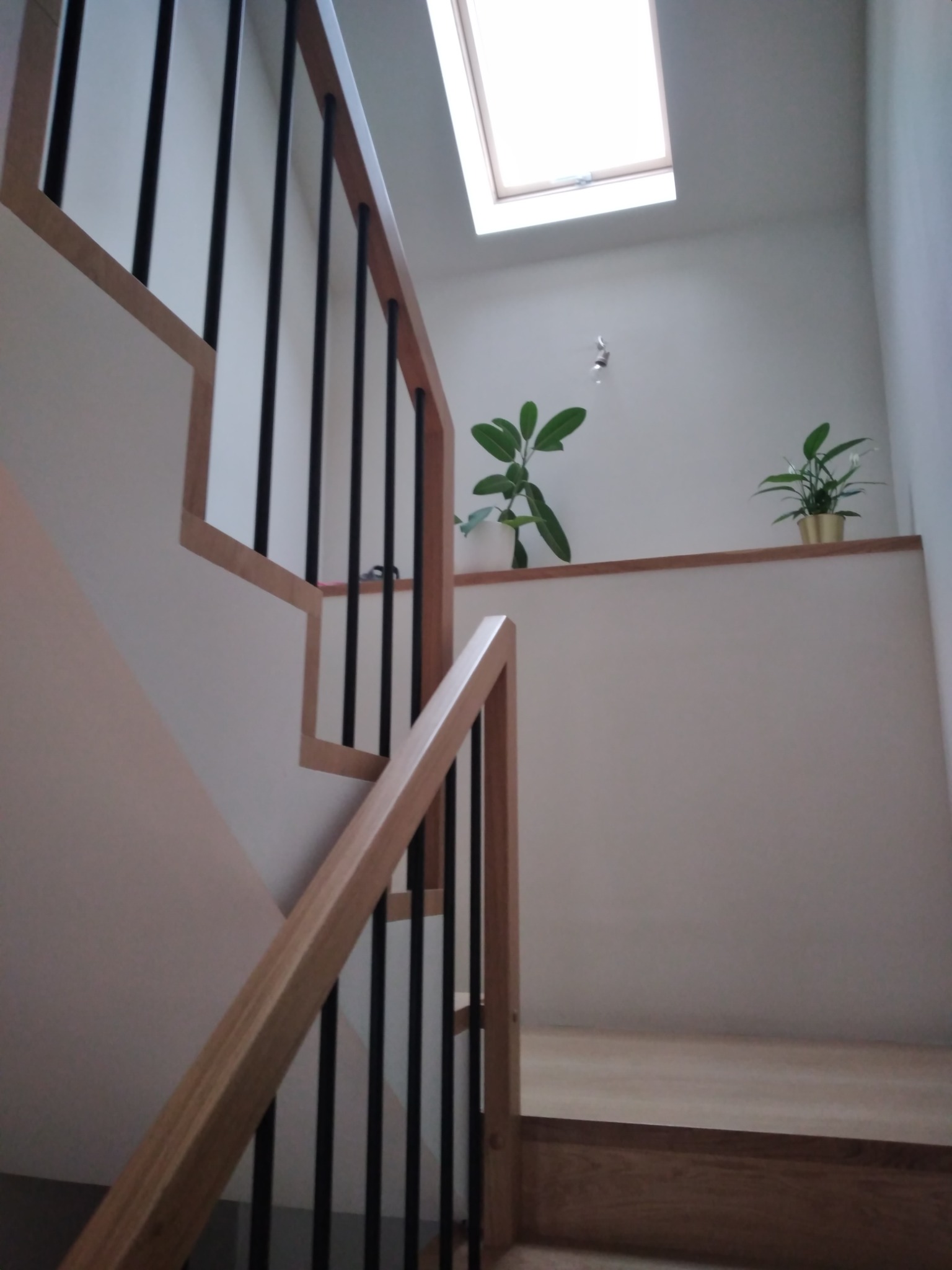 Nowoczesne schody z jasnego drewna z czarnymi, pionowymi balustradami, doświetlone światłem z okna dachowego, z roślinami doniczkowymi na półce w tle.