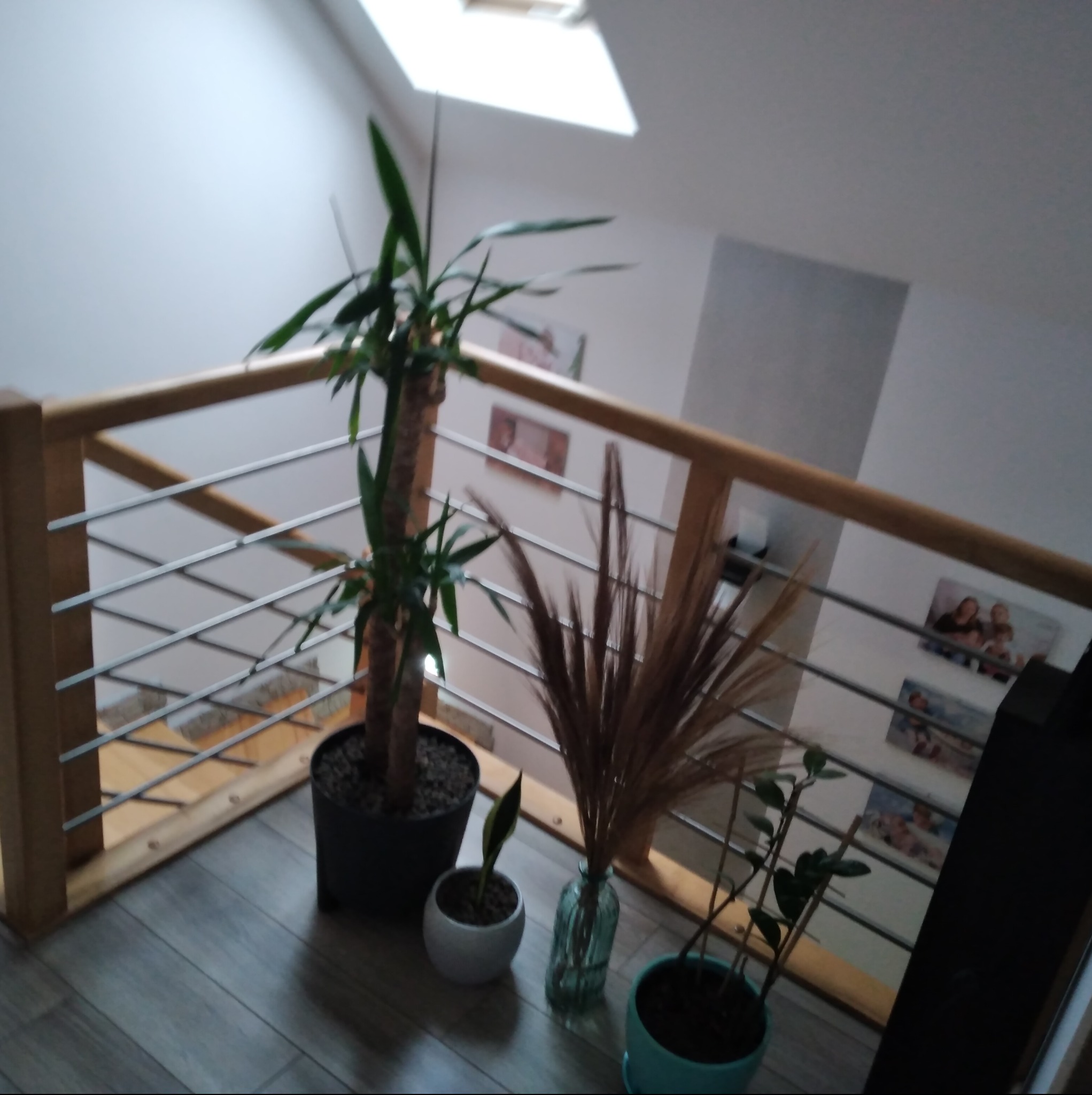 Wnętrze domu z drewnianą balustradą z metalowymi prętami, widok z góry, z doniczkami z roślinami na podłodze i zdjęciami na ścianie w tle.