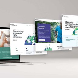 Przykład designu strony internetowej