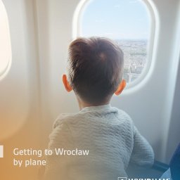 Kaja Dutka - Chłopiec patrzy przez okno samolotu na panoramę Wrocławia w pogodny dzień, widoczne mosty i budynki, z tyłu głowa dziecka w szarej bluzie.