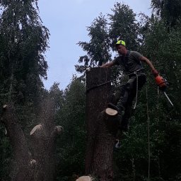 Arboryst Wycinka I Pielęgnacja Drzew Stepan Melnyk - Odśnieżanie Dachów Piaseczno