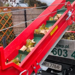 Zrębkowanie glęzi na opal.