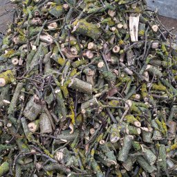 Wycinka drzew Piaseczno 1