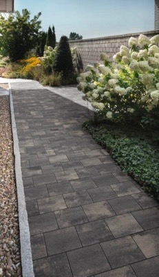 Ścieżka z ciemnej kostki brukowej prowadząca przez ogród z kwitnącymi hortensjami i ozdobnymi krzewami, widok z perspektywy przechodnia.