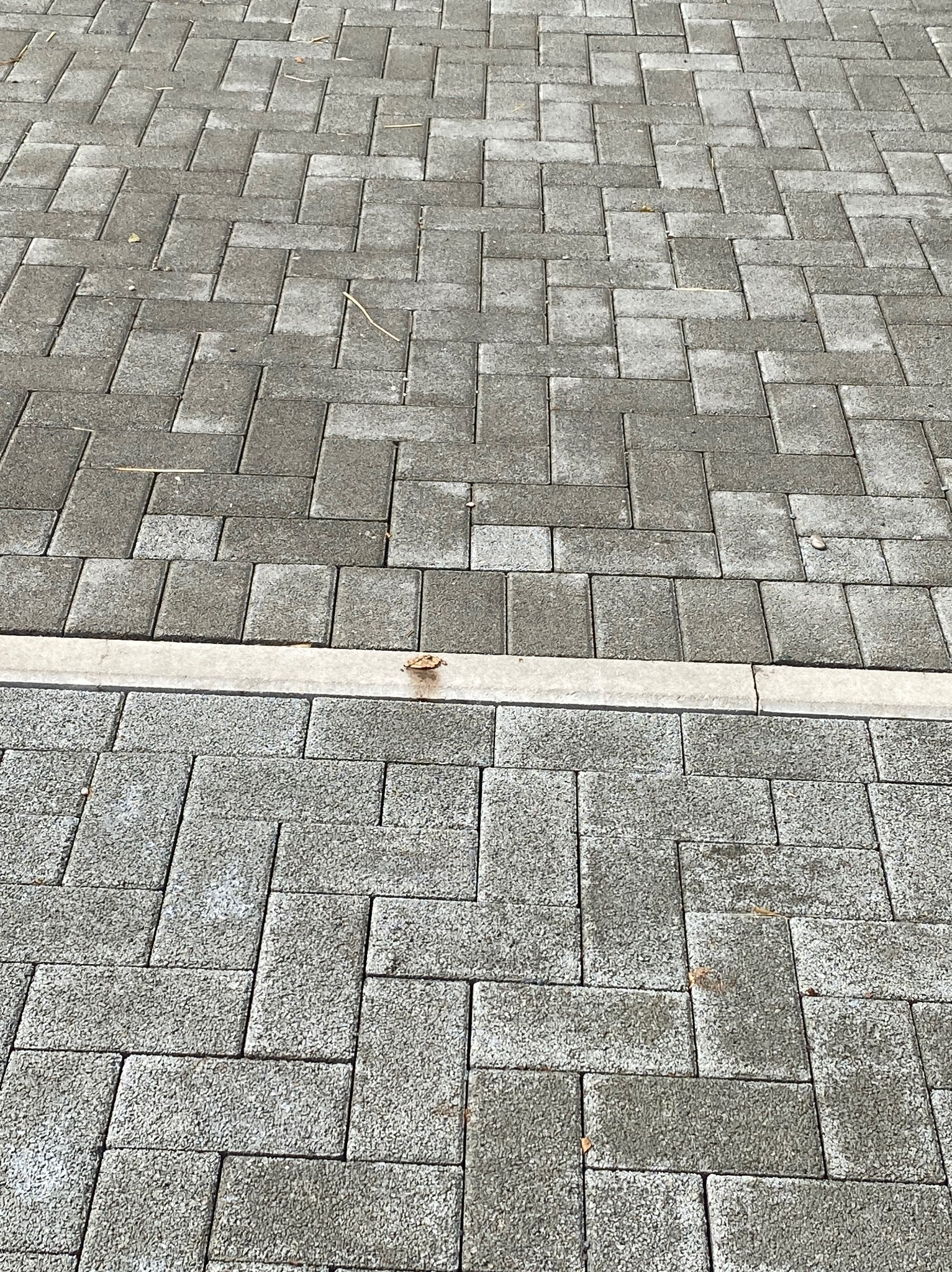 Szara kostka brukowa ułożona w geometryczny wzór, oddzielona jasnoszarą obwódką, z kilkoma suchymi liśćmi na powierzchni.