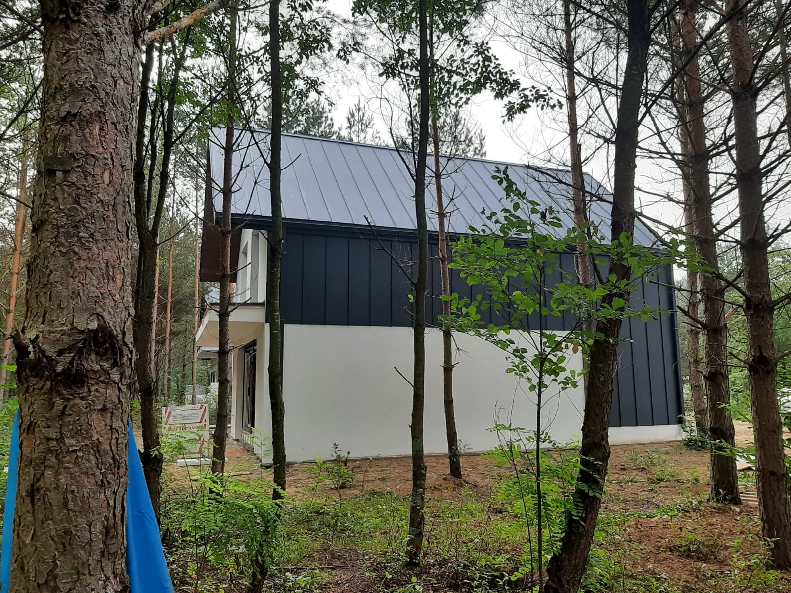 Nowoczesny dom z ciemną elewacją i jasnymi ścianami, widziany z perspektywy lasu, z drzewami na pierwszym planie