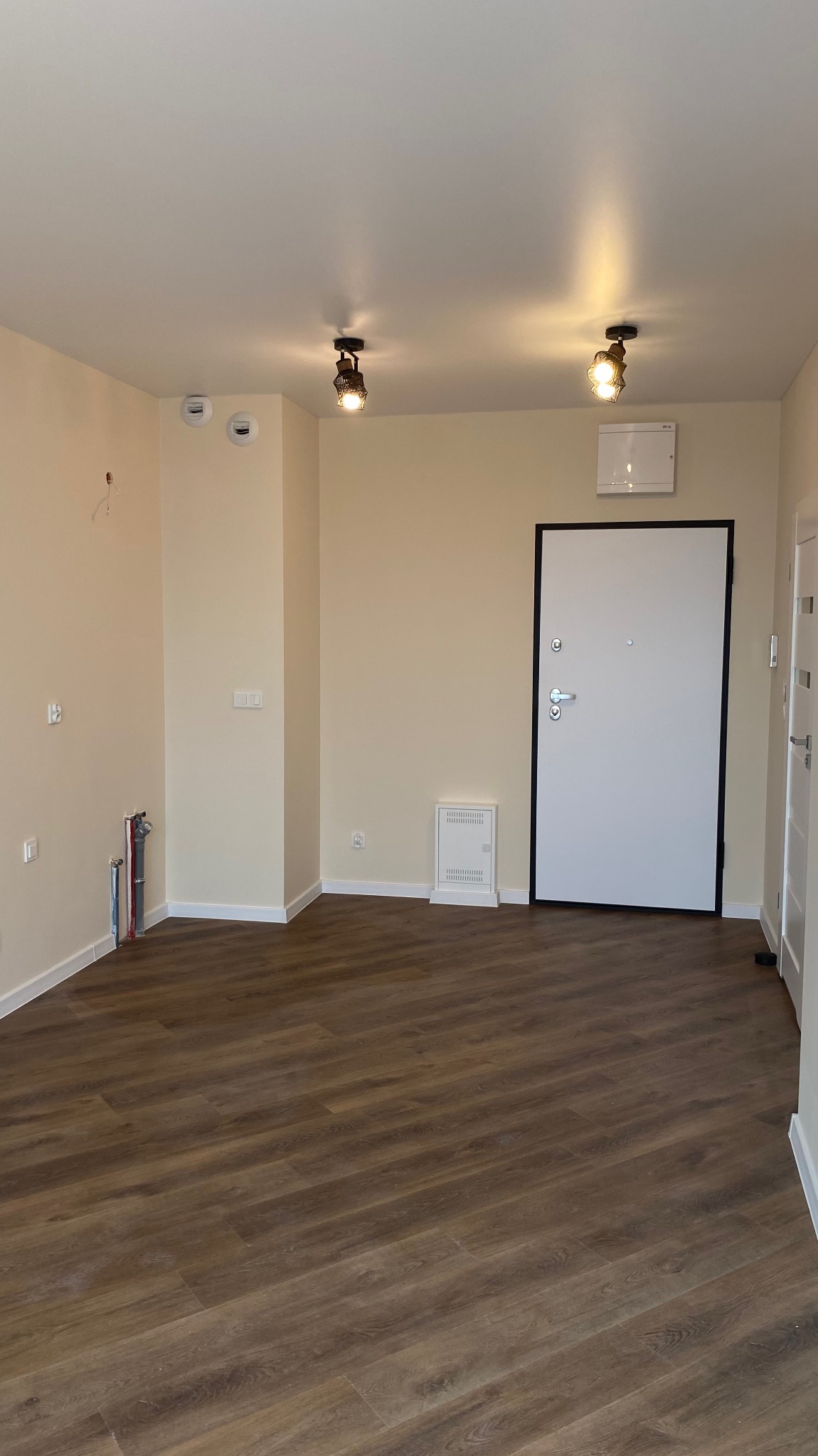 Wnętrze nowo wykończonego mieszkania z panelami podłogowymi w odcieniach brązu, białymi ścianami i drzwiami wejściowymi z czarną ramą oraz widocznymi instalacjami hydraulicznymi przed zabudową.