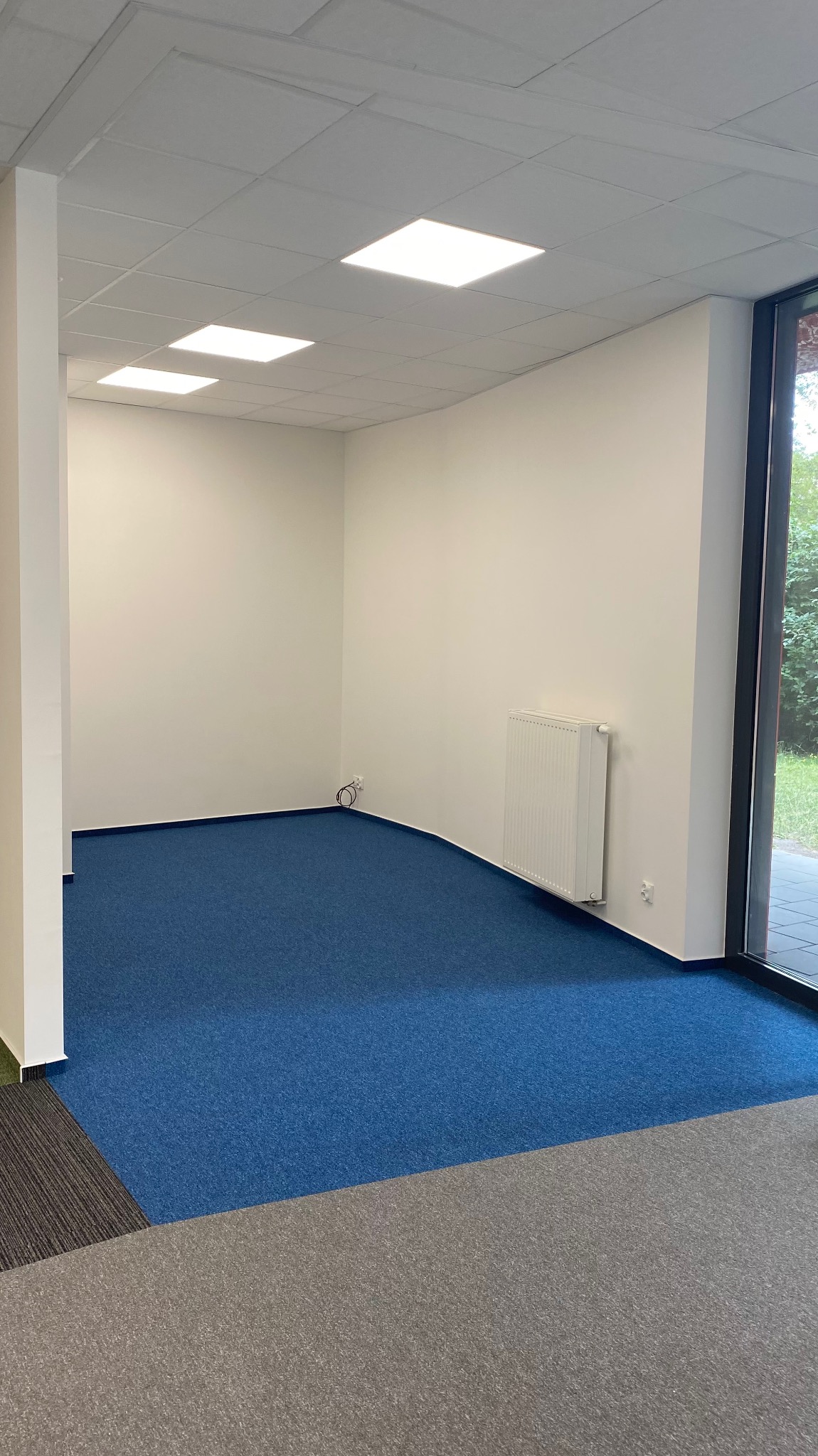 Puste, jasne pomieszczenie biurowe z niebieską wykładziną, białymi ścianami, grzejnikiem i podwieszanym sufitem z panelami LED.