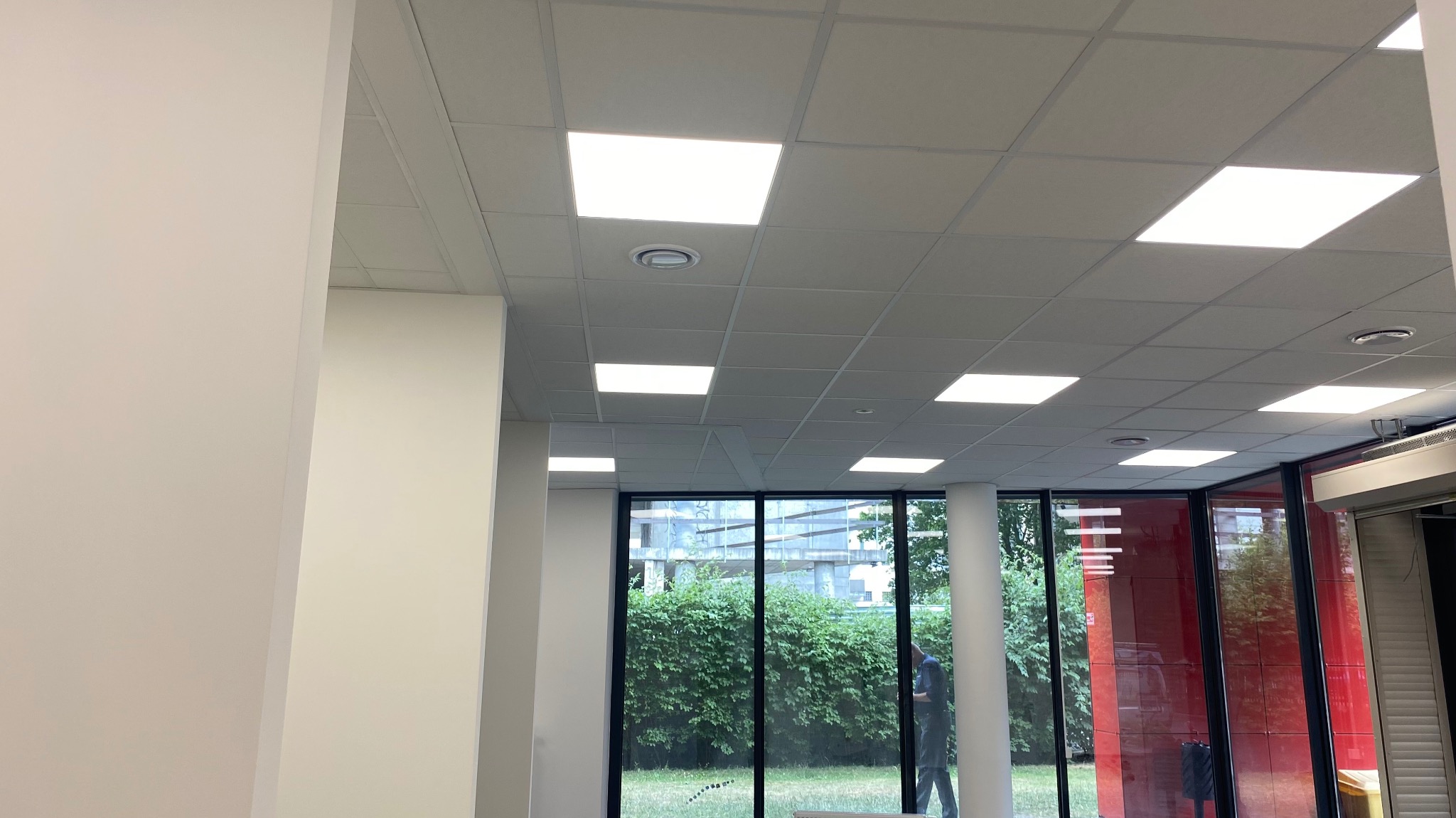 Sufit podwieszany z kwadratowymi panelami oświetleniowymi w jasnym pomieszczeniu biurowym z widokiem na zieleń za oknem.